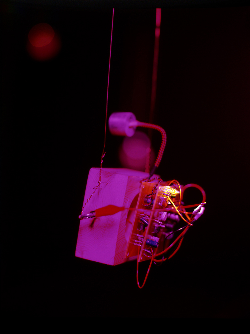Evolving Sonic Environment