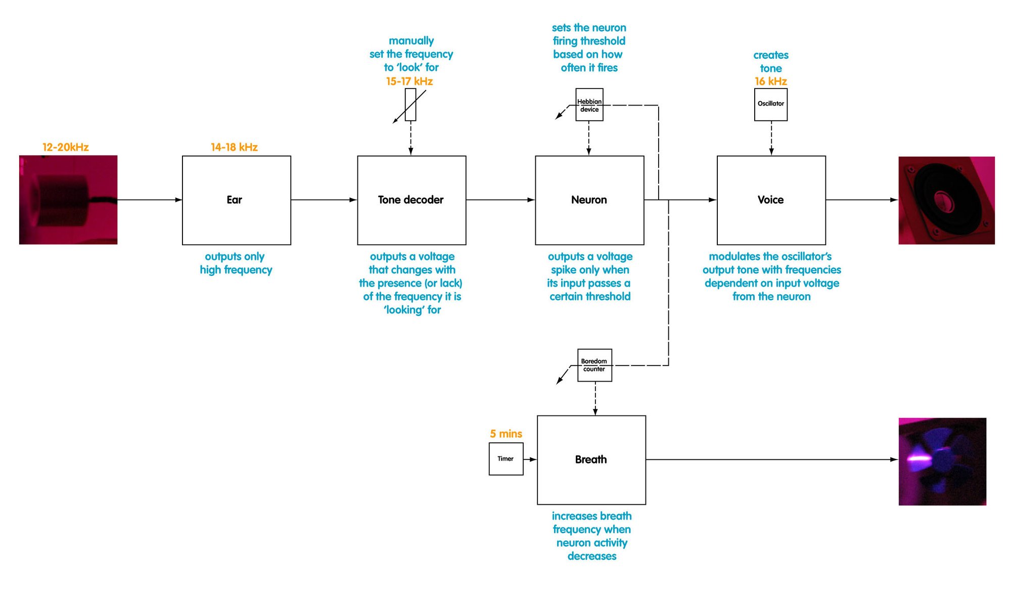 Evolving Sonic diagram