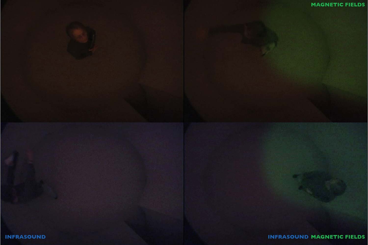 Haunt chamber overhead