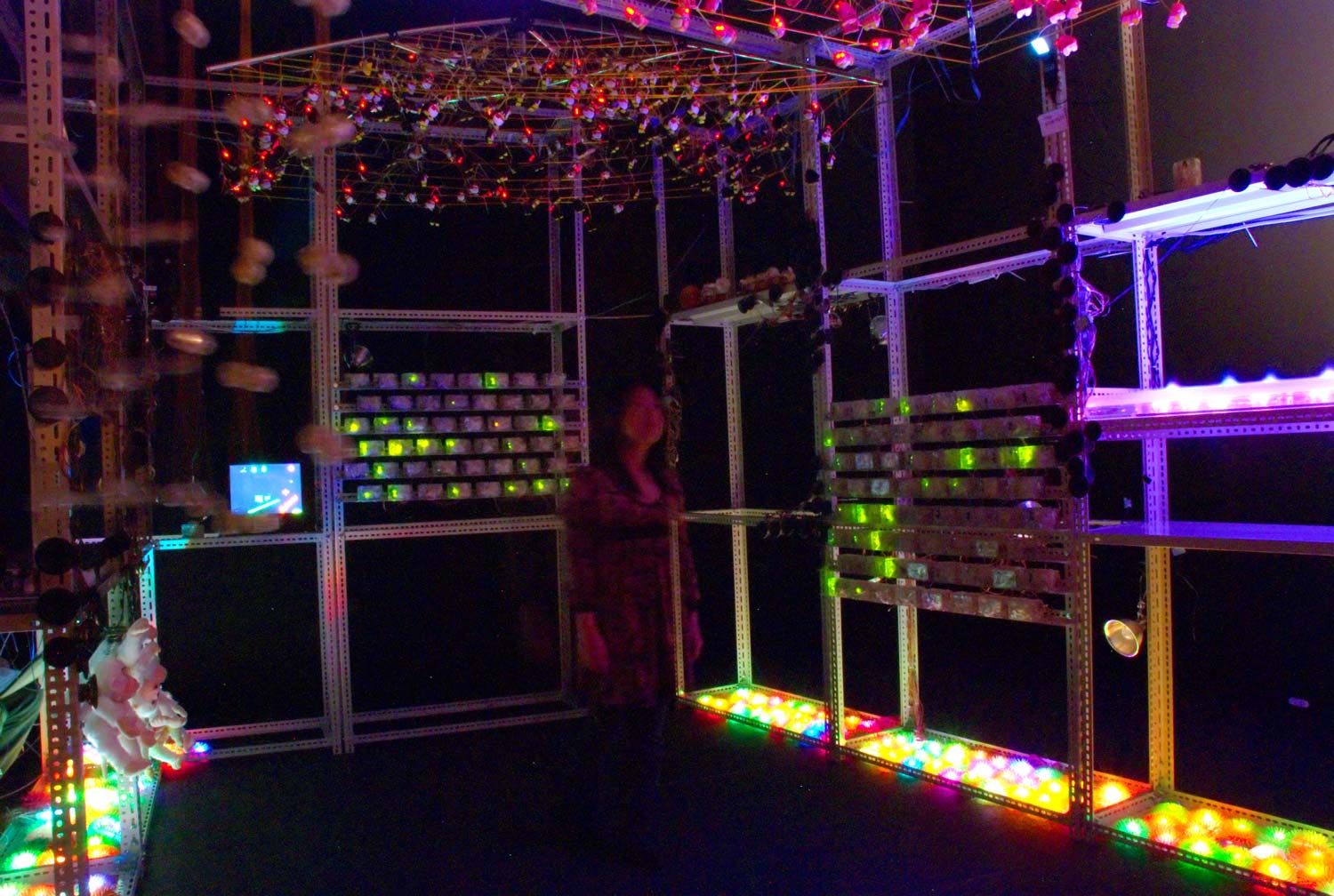 Reconfigurable House