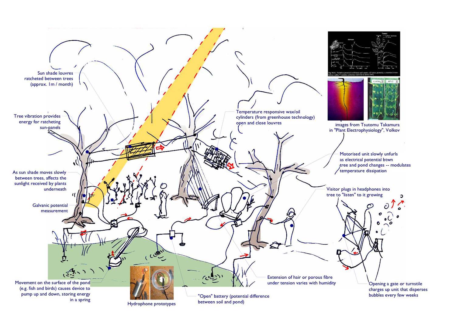 Siphonophora's habitat system diagram