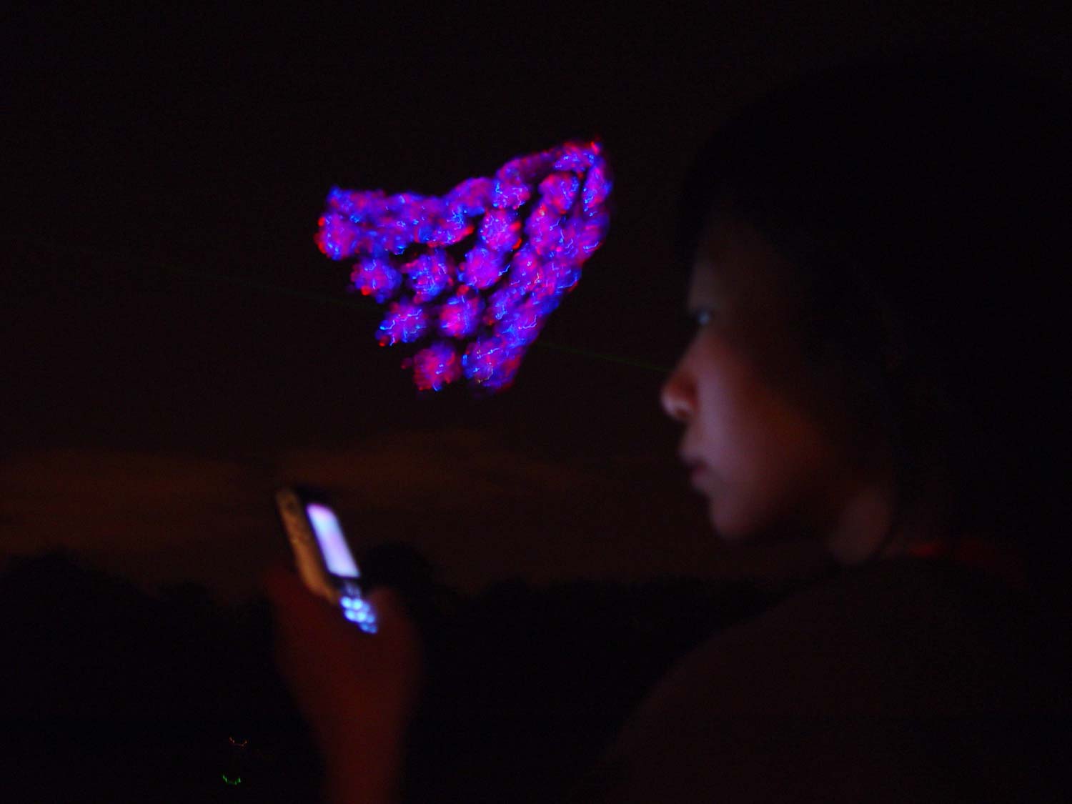 Sky Ear above the audience
